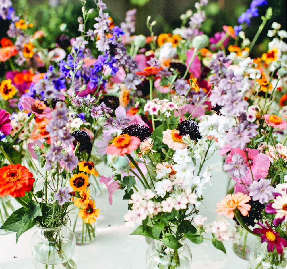 Garden Party Body Oil